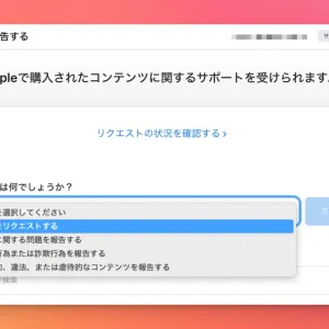 返金リクエストページの様子