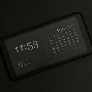 ほぼスマホな電子ペーパーデバイス BOOX Palma