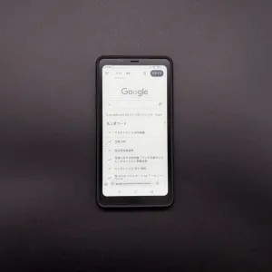 割としっかり存在感があるベゼルを持つ BOOX Palma