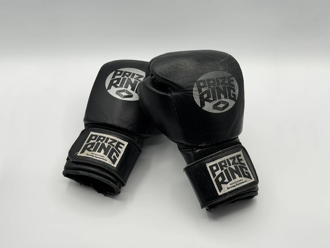 【レビュー】PRIZE RING の 10 oz ボクシンググローブ Professional 5.0 長期使用レビュー
